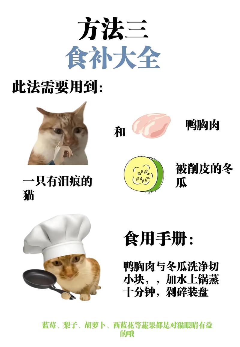 猫咪有泪痕怎么办,猫咪老是流眼泪有泪痕咋办?-第1张图片-后鲨宠物 猫咪有泪痕怎么办,猫咪老是流眼泪有泪痕咋办?-第1张图片-后鲨宠物