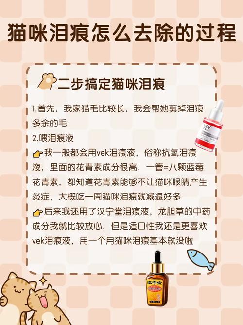 猫咪有泪痕怎么办,猫咪老是流眼泪有泪痕咋办?-第2张图片-后鲨宠物 猫咪有泪痕怎么办,猫咪老是流眼泪有泪痕咋办?-第2张图片-后鲨宠物