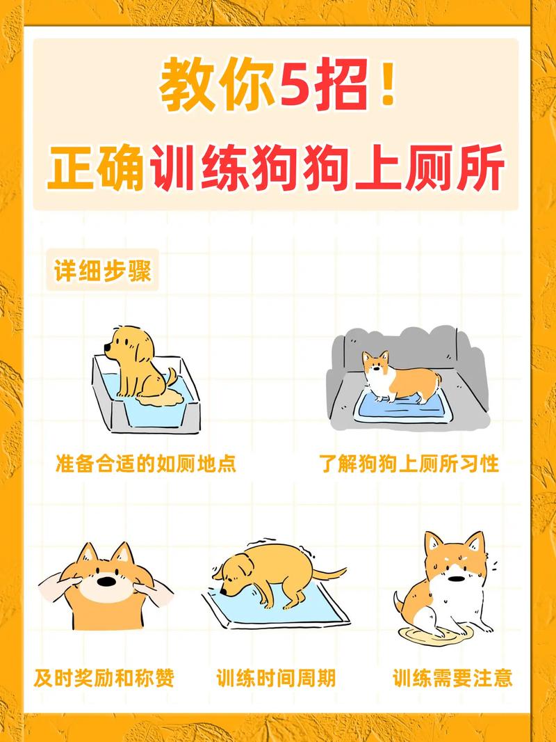  怎么训练狗狗去厕所拉屎，怎么训练狗狗不乱拉屎拉尿-第2张图片-后鲨宠物