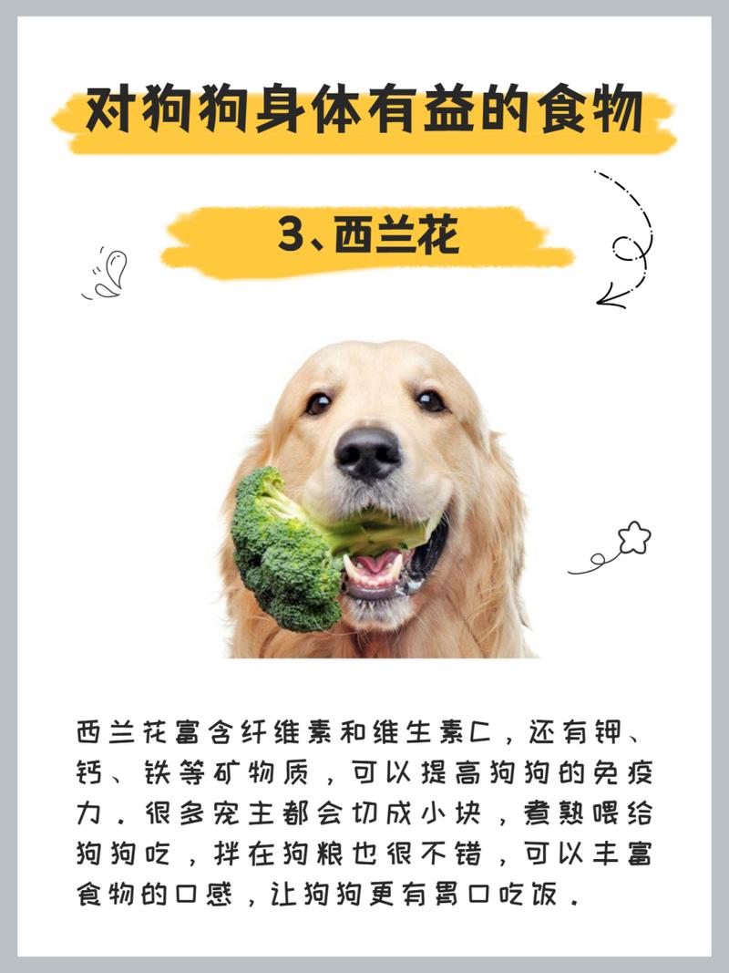 狗狗能吃南瓜么,狗狗可不可以吃南瓜?-第2张图片-后鲨宠物 狗狗能吃南瓜么,狗狗可不可以吃南瓜?-第2张图片-后鲨宠物