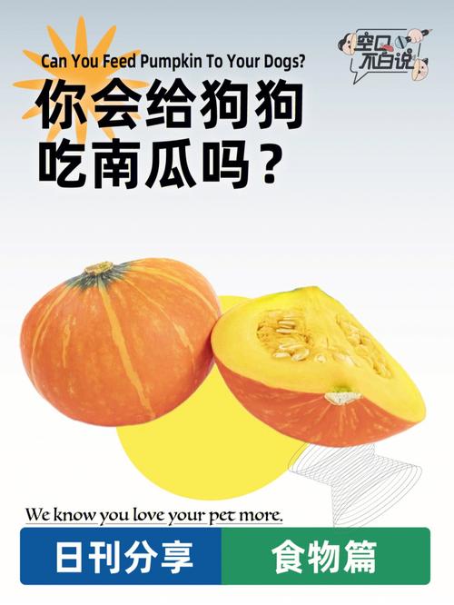 狗狗能吃南瓜么,狗狗可不可以吃南瓜?-第6张图片-后鲨宠物 狗狗能吃南瓜么,狗狗可不可以吃南瓜?-第6张图片-后鲨宠物