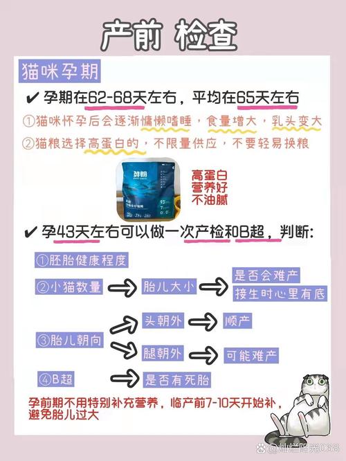 猫咪宫缩多久生第一只_猫宫缩几次后生-第5张图片-后鲨宠物 猫咪宫缩多久生第一只_猫宫缩几次后生-第5张图片-后鲨宠物