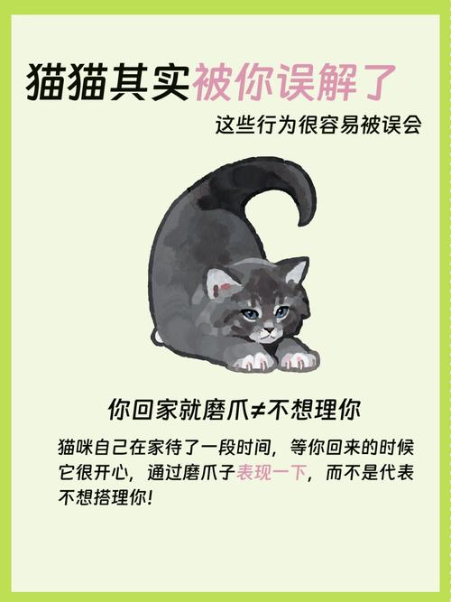 猫咪多久上一次厕所,猫咪多久上一次大便-第2张图片-后鲨宠物 猫咪多久上一次厕所,猫咪多久上一次大便-第2张图片-后鲨宠物