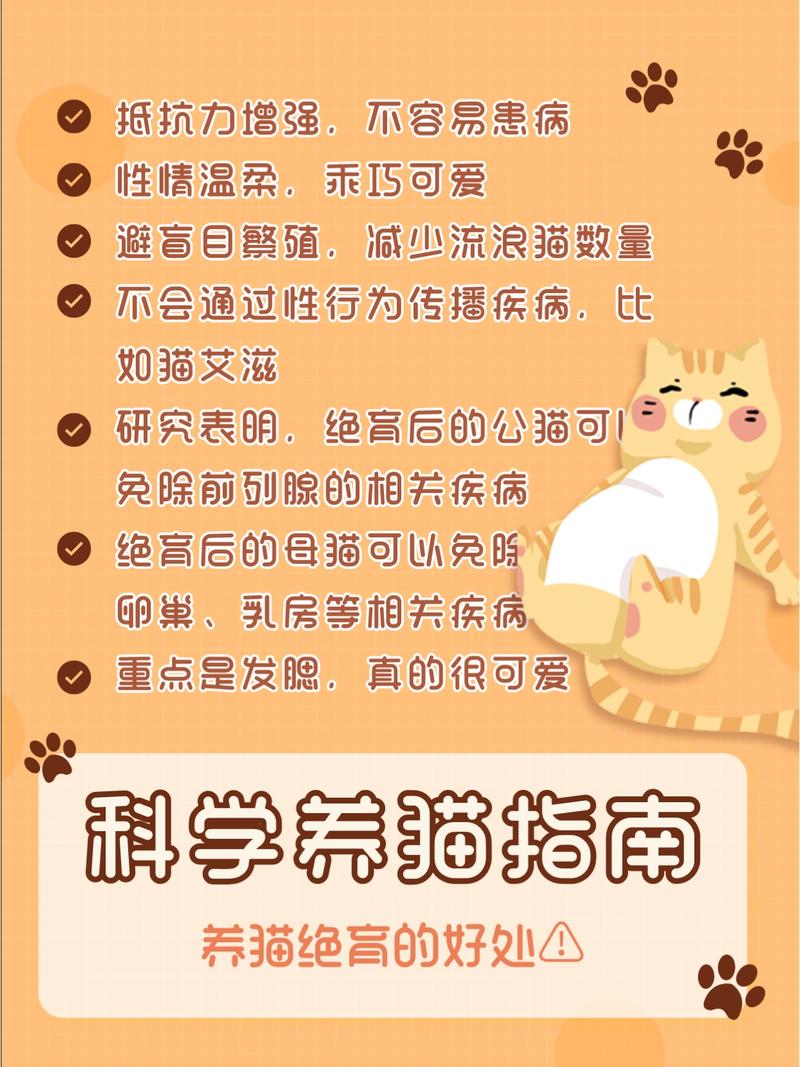 猫咪绝育的坏处_猫咪绝育弊端-第2张图片-后鲨宠物 猫咪绝育的坏处_猫咪绝育弊端-第2张图片-后鲨宠物