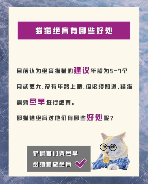 猫咪绝育的坏处_猫咪绝育弊端-第4张图片-后鲨宠物 猫咪绝育的坏处_猫咪绝育弊端-第4张图片-后鲨宠物