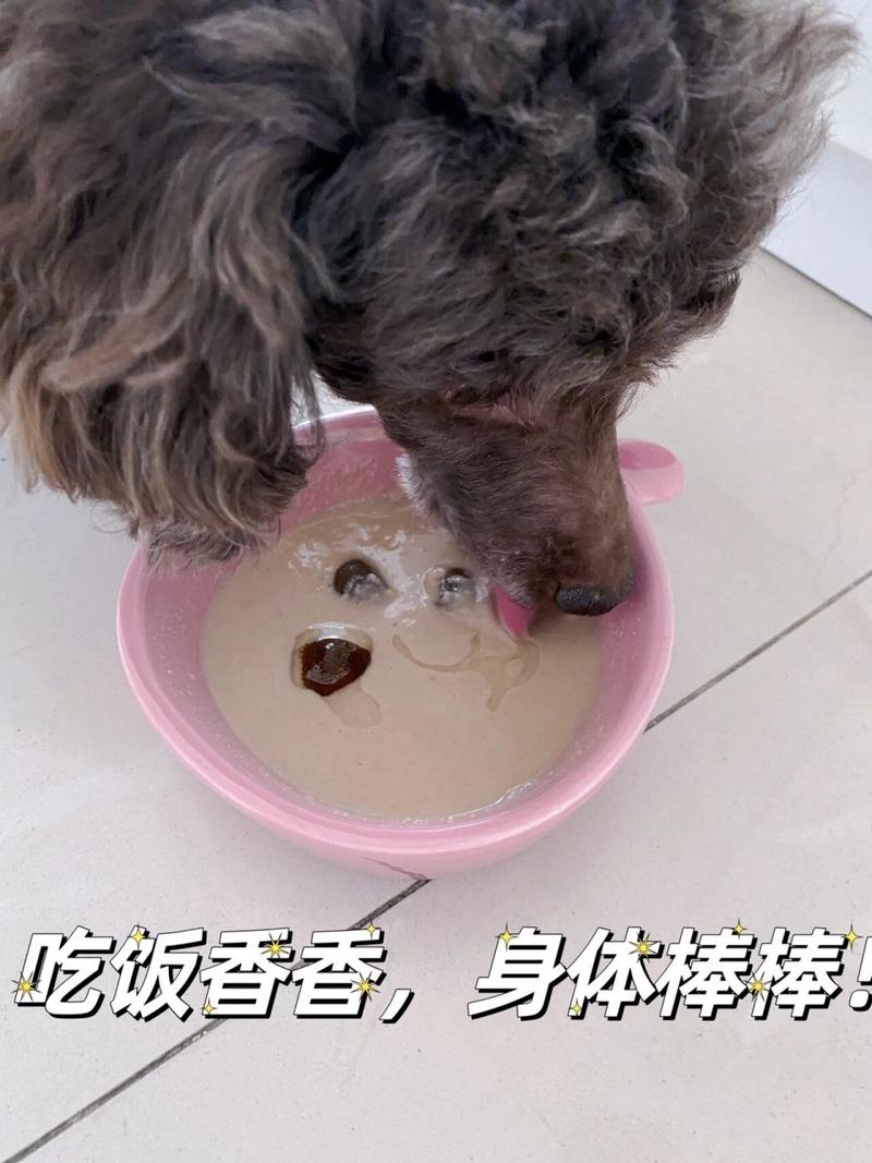 狗狗喝羊奶粉会拉稀吗_狗狗喝羊奶粉就拉稀-第2张图片-后鲨宠物 狗狗喝羊奶粉会拉稀吗_狗狗喝羊奶粉就拉稀-第2张图片-后鲨宠物