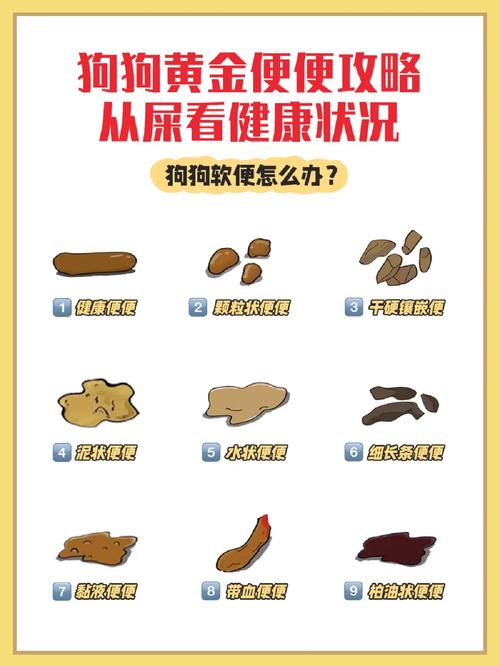 狗狗三天没拉屎正常吗,狗狗三天没拉屎正常吗视频-第1张图片-后鲨宠物 狗狗三天没拉屎正常吗,狗狗三天没拉屎正常吗视频-第1张图片-后鲨宠物