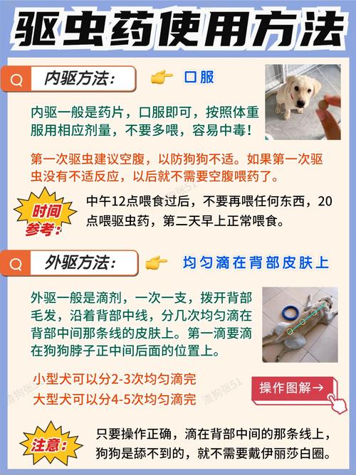 狗狗打疫苗可以驱虫吗,狗狗打疫苗可以驱虫吗多少钱?-第2张图片-后鲨宠物 狗狗打疫苗可以驱虫吗,狗狗打疫苗可以驱虫吗多少钱?-第2张图片-后鲨宠物