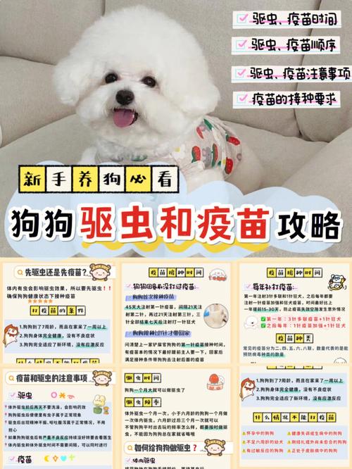 狗狗打疫苗可以驱虫吗,狗狗打疫苗可以驱虫吗多少钱?-第5张图片-后鲨宠物 狗狗打疫苗可以驱虫吗,狗狗打疫苗可以驱虫吗多少钱?-第5张图片-后鲨宠物