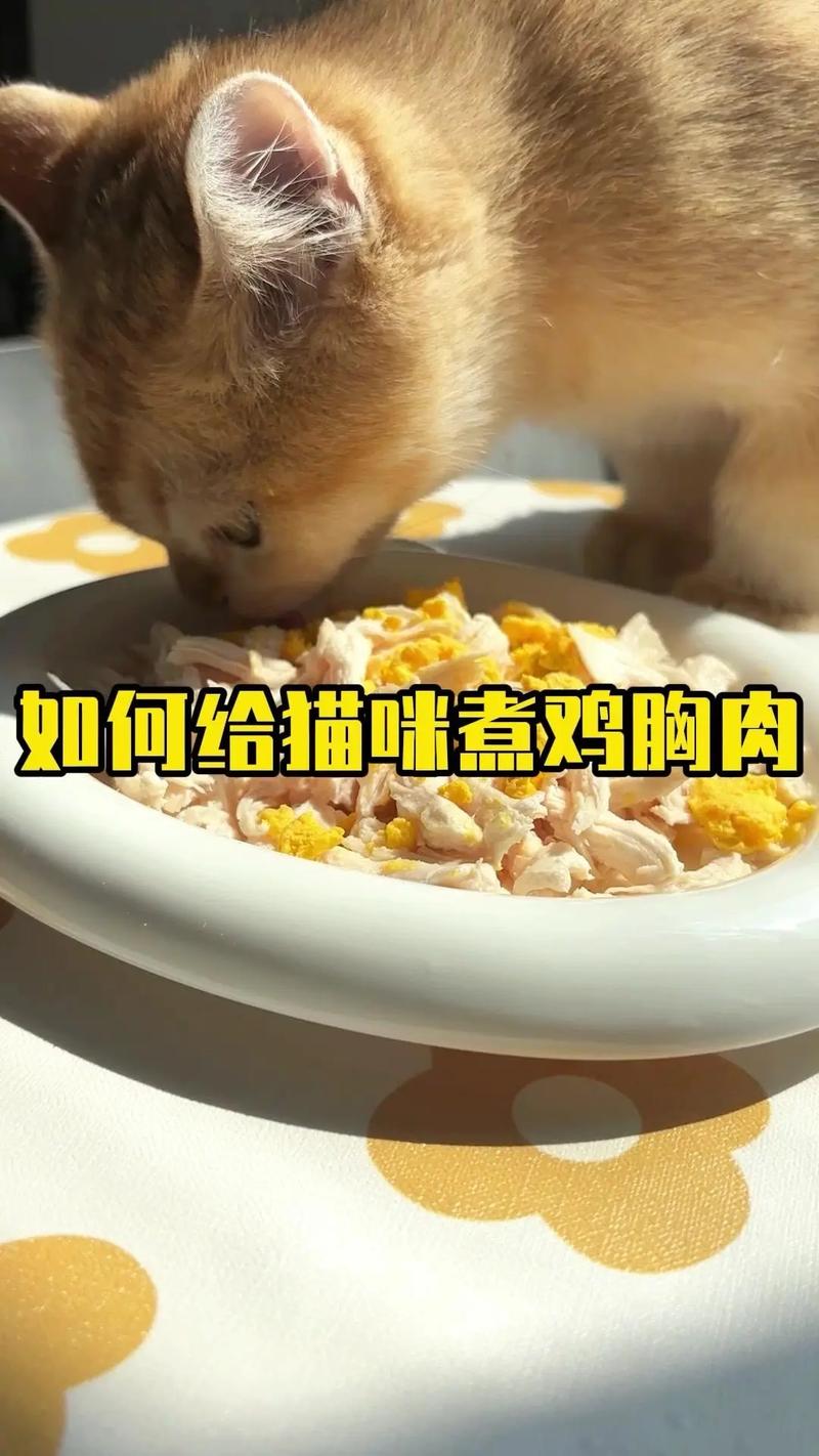鸡胸肉怎么做给猫咪吃,鸡胸肉怎么做给猫咪吃的?-第1张图片-后鲨宠物 鸡胸肉怎么做给猫咪吃,鸡胸肉怎么做给猫咪吃的?-第1张图片-后鲨宠物