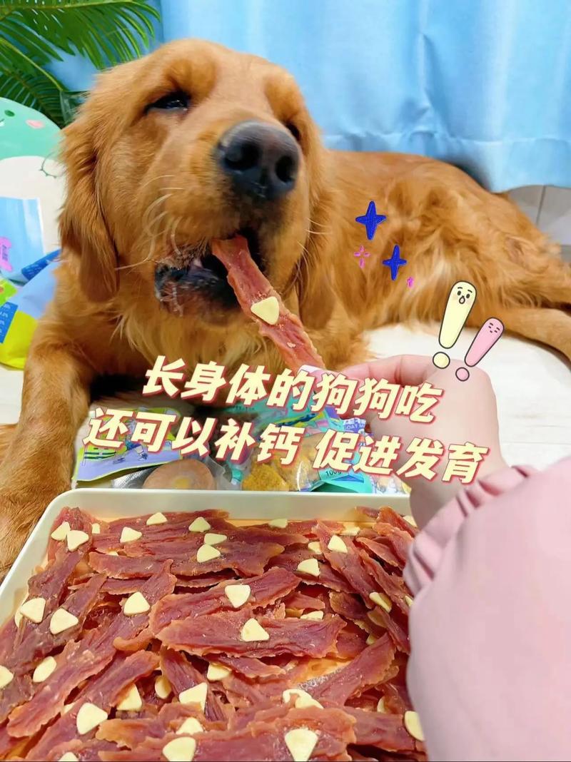 狗狗吃芝士有什么好处,狗狗吃芝士的好处-第1张图片-后鲨宠物 狗狗吃芝士有什么好处,狗狗吃芝士的好处-第1张图片-后鲨宠物