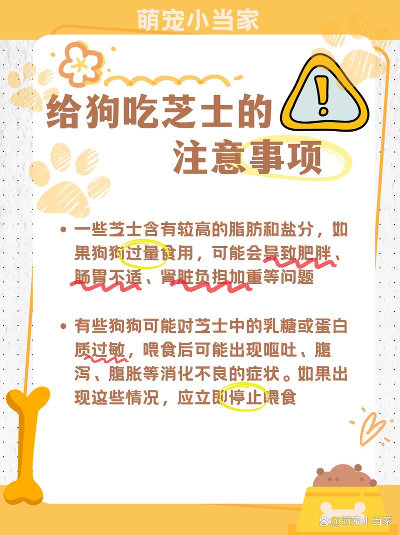 狗狗吃芝士有什么好处,狗狗吃芝士的好处-第4张图片-后鲨宠物 狗狗吃芝士有什么好处,狗狗吃芝士的好处-第4张图片-后鲨宠物