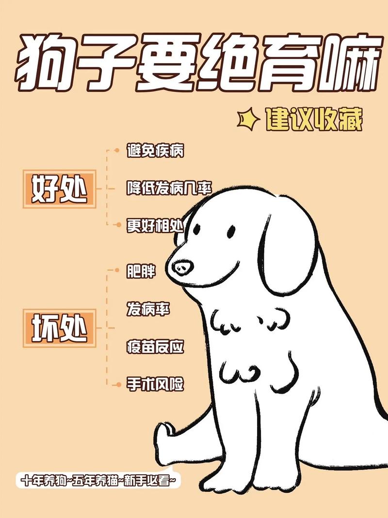 狗狗绝育有什么好处_狗狗绝育好不好,狗狗绝育的利与弊-第2张图片-后鲨宠物 狗狗绝育有什么好处_狗狗绝育好不好,狗狗绝育的利与弊-第2张图片-后鲨宠物