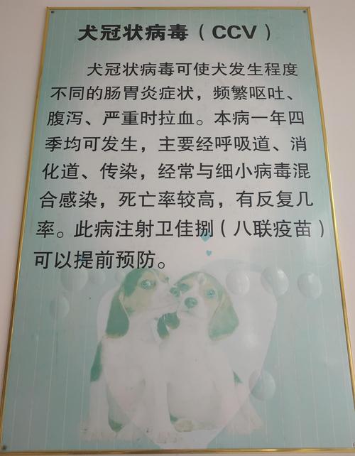 狗狗冠状病毒会自愈吗,狗狗冠状病毒会自己好吗?-第2张图片-后鲨宠物 狗狗冠状病毒会自愈吗,狗狗冠状病毒会自己好吗?-第2张图片-后鲨宠物