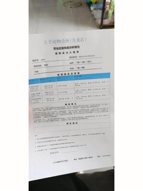 狗狗冠状病毒会自愈吗,狗狗冠状病毒会自己好吗?-第3张图片-后鲨宠物 狗狗冠状病毒会自愈吗,狗狗冠状病毒会自己好吗?-第3张图片-后鲨宠物