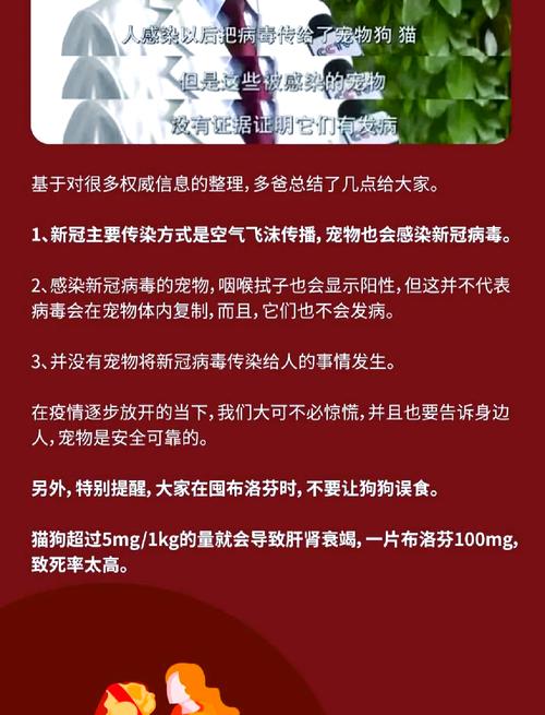 狗狗冠状病毒会自愈吗,狗狗冠状病毒会自己好吗?-第5张图片-后鲨宠物 狗狗冠状病毒会自愈吗,狗狗冠状病毒会自己好吗?-第5张图片-后鲨宠物