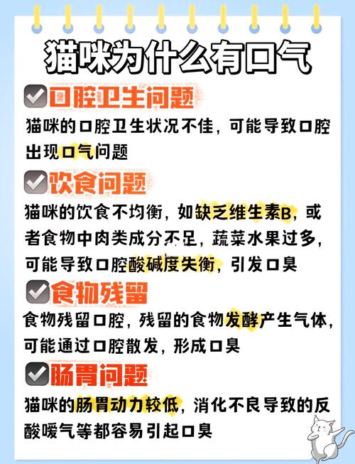猫咪除口臭的简单方法,猫咪除口臭的简单方法小猫牙龈出血是怎么样的-第4张图片-后鲨宠物 猫咪除口臭的简单方法,猫咪除口臭的简单方法小猫牙龈出血是怎么样的-第4张图片-后鲨宠物