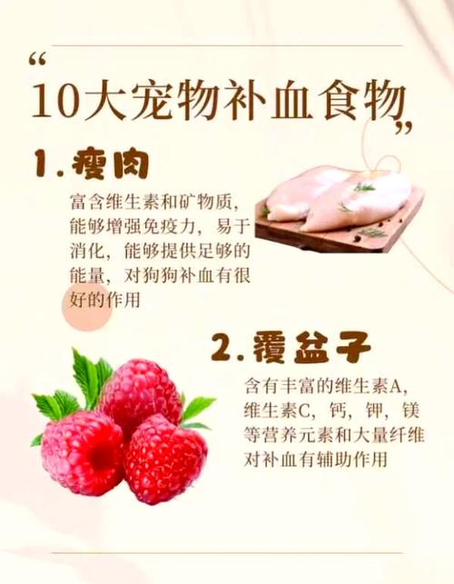 狗狗吃什么补血效果好_狗吃什么补血补营养-第2张图片-后鲨宠物 狗狗吃什么补血效果好_狗吃什么补血补营养-第2张图片-后鲨宠物
