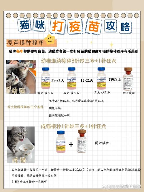 猫咪多大可以打疫苗,猫咪多大可以打疫苗?-第1张图片-后鲨宠物 猫咪多大可以打疫苗,猫咪多大可以打疫苗?-第1张图片-后鲨宠物