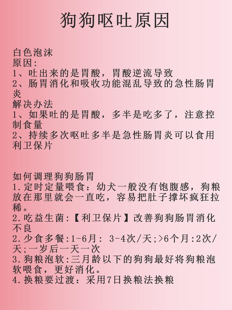 狗狗吃了狗粮吐了怎么回事,狗狗吃了狗粮以后吐出来了?-第4张图片-后鲨宠物 狗狗吃了狗粮吐了怎么回事,狗狗吃了狗粮以后吐出来了?-第4张图片-后鲨宠物