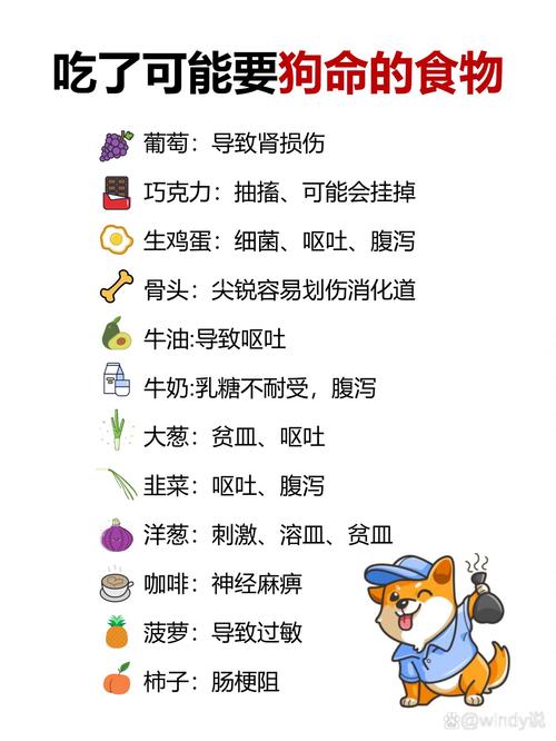 狗狗怀孕不能吃什么，狗狗怀孕不能吃什么容易滑胎？-第5张图片-后鲨宠物