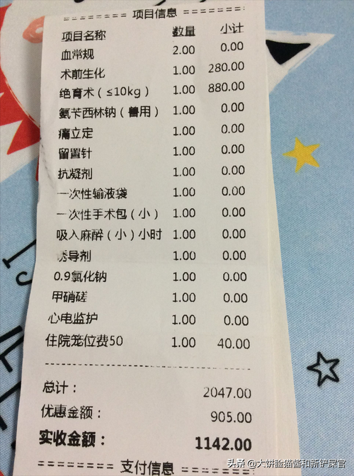 猫咪做绝育多少钱,宠物母猫绝育手术多少钱?-第4张图片-后鲨宠物 猫咪做绝育多少钱,宠物母猫绝育手术多少钱?-第4张图片-后鲨宠物