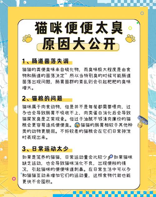 猫咪大便臭是什么原因,猫大便臭的原因?-第4张图片-后鲨宠物 猫咪大便臭是什么原因,猫大便臭的原因?-第4张图片-后鲨宠物