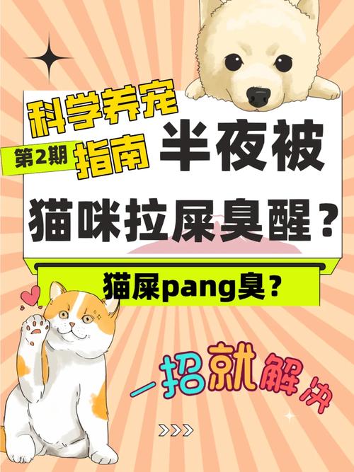 猫咪大便臭是什么原因,猫大便臭的原因?-第5张图片-后鲨宠物 猫咪大便臭是什么原因,猫大便臭的原因?-第5张图片-后鲨宠物