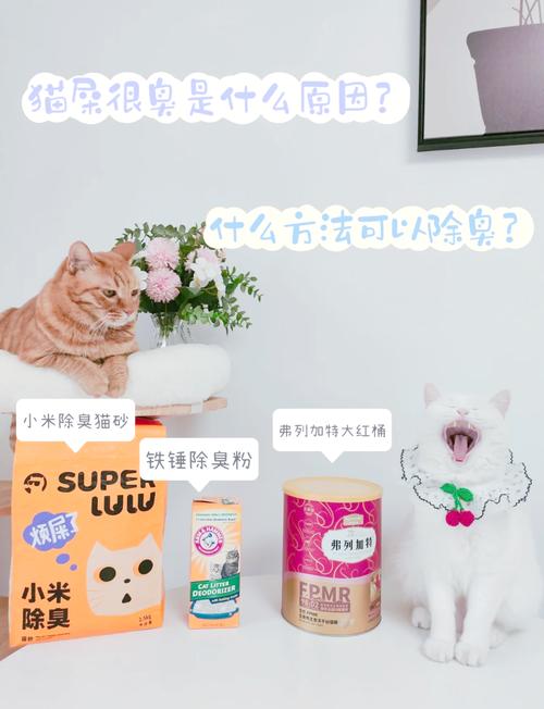 猫咪大便臭是什么原因,猫大便臭的原因?-第6张图片-后鲨宠物 猫咪大便臭是什么原因,猫大便臭的原因?-第6张图片-后鲨宠物