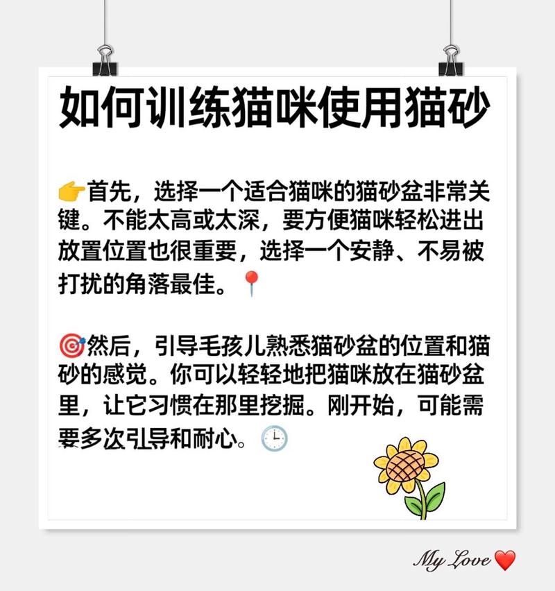 关于如何训练猫咪上厕所的信息-第3张图片-后鲨宠物 关于如何训练猫咪上厕所的信息-第3张图片-后鲨宠物