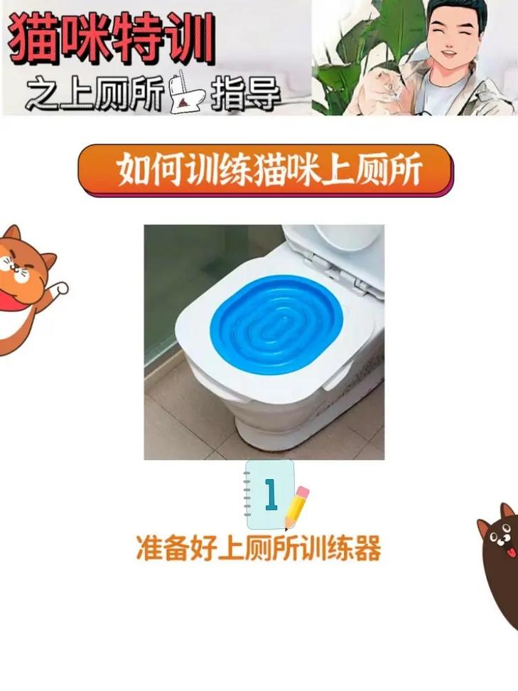 关于如何训练猫咪上厕所的信息-第5张图片-后鲨宠物 关于如何训练猫咪上厕所的信息-第5张图片-后鲨宠物