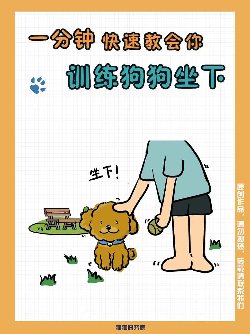 如何训练狗狗坐下_怎么训练狗狗坐下起来的动作-第2张图片-后鲨宠物 如何训练狗狗坐下_怎么训练狗狗坐下起来的动作-第2张图片-后鲨宠物