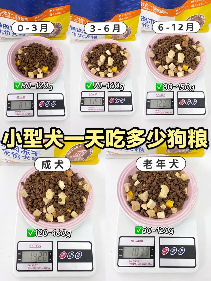 一个月狗狗吃多少狗粮,一个月狗狗能吃多少狗粮?-第2张图片-后鲨宠物 一个月狗狗吃多少狗粮,一个月狗狗能吃多少狗粮?-第2张图片-后鲨宠物
