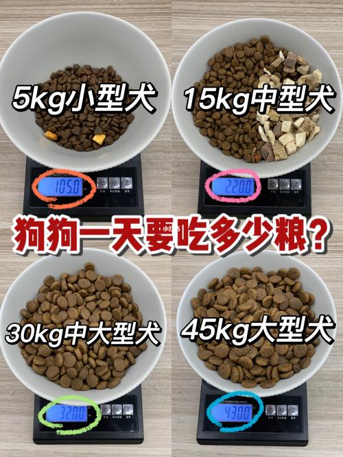一个月狗狗吃多少狗粮,一个月狗狗能吃多少狗粮?-第3张图片-后鲨宠物 一个月狗狗吃多少狗粮,一个月狗狗能吃多少狗粮?-第3张图片-后鲨宠物