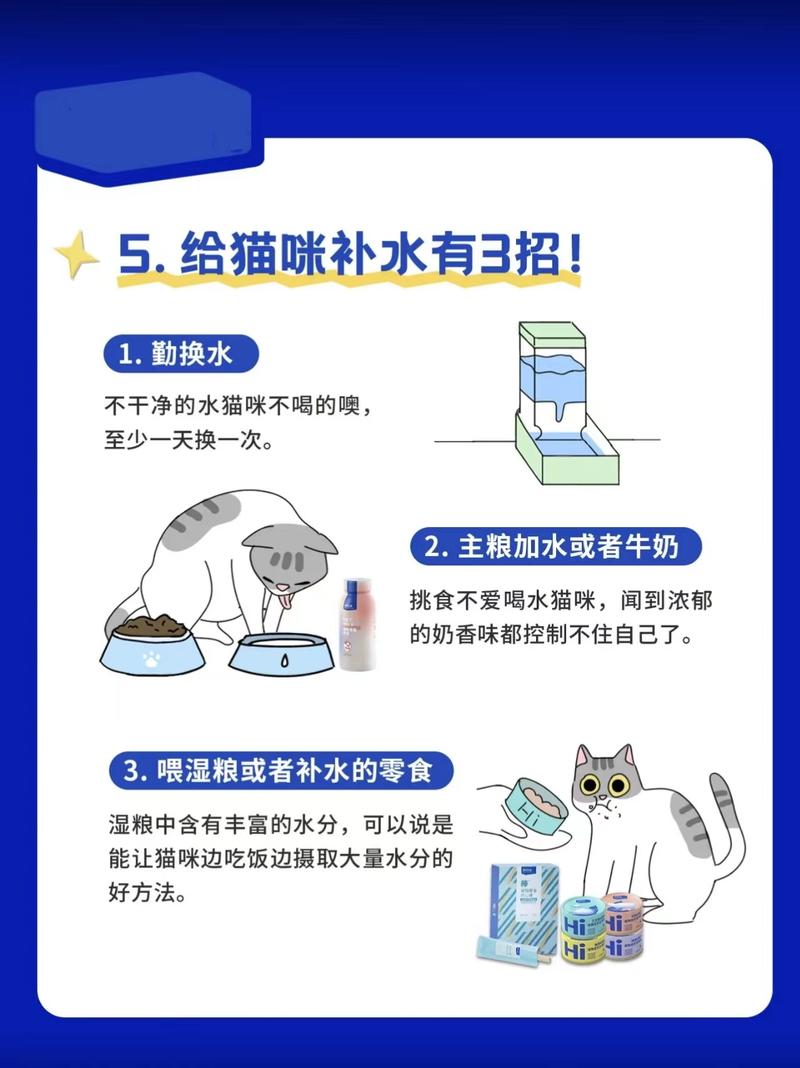 猫猫不喝水怎么办_猫不喝水正常吗-第1张图片-后鲨宠物 猫猫不喝水怎么办_猫不喝水正常吗-第1张图片-后鲨宠物