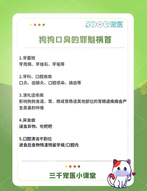 狗狗口腔有异味怎么办_狗狗口腔异味怎么去除-第2张图片-后鲨宠物 狗狗口腔有异味怎么办_狗狗口腔异味怎么去除-第2张图片-后鲨宠物
