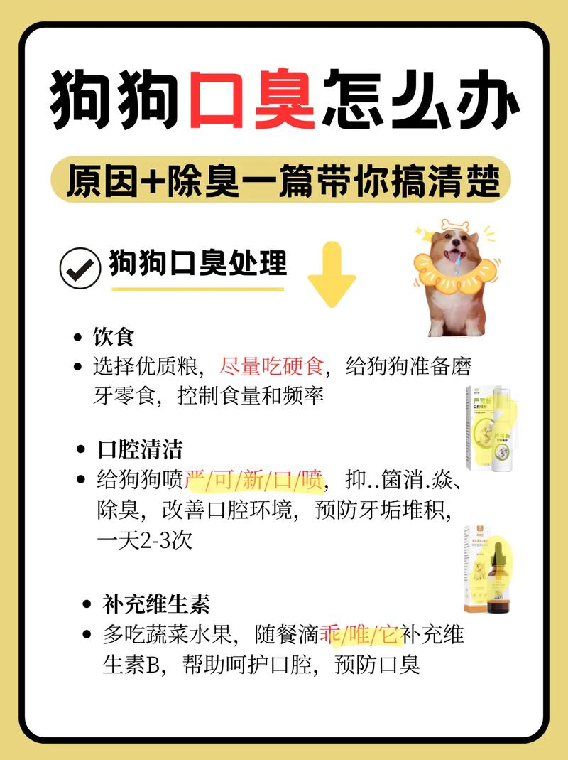 狗狗口腔有异味怎么办_狗狗口腔异味怎么去除-第5张图片-后鲨宠物 狗狗口腔有异味怎么办_狗狗口腔异味怎么去除-第5张图片-后鲨宠物
