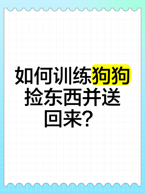 怎么训练狗狗拿东西，怎么训练狗狗拿东西过来？-第4张图片-后鲨宠物