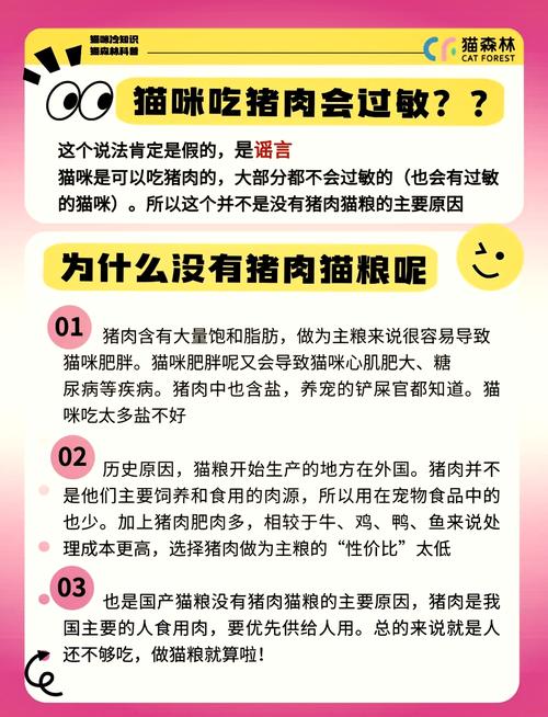 猫猫可以吃猪肉吗,猫猫能吃猪肉嘛?-第3张图片-后鲨宠物 猫猫可以吃猪肉吗,猫猫能吃猪肉嘛?-第3张图片-后鲨宠物