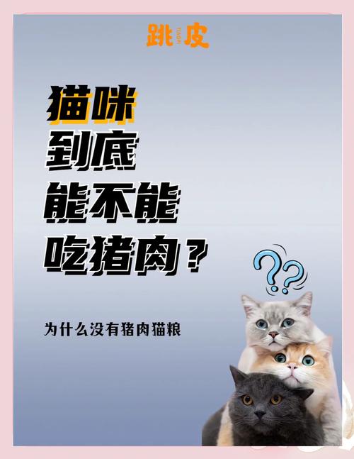 猫猫可以吃猪肉吗,猫猫能吃猪肉嘛?-第5张图片-后鲨宠物 猫猫可以吃猪肉吗,猫猫能吃猪肉嘛?-第5张图片-后鲨宠物