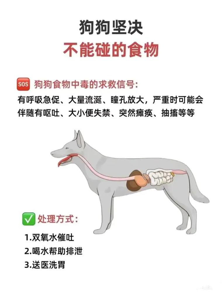  狗狗能吃豆渣吗，豆渣狗狗可以吃吗-第4张图片-后鲨宠物