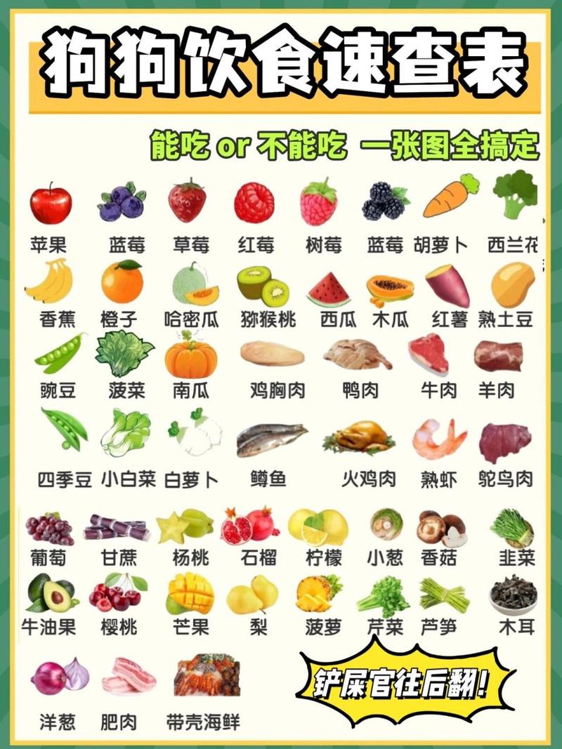  狗狗能吃豆渣吗，豆渣狗狗可以吃吗-第6张图片-后鲨宠物