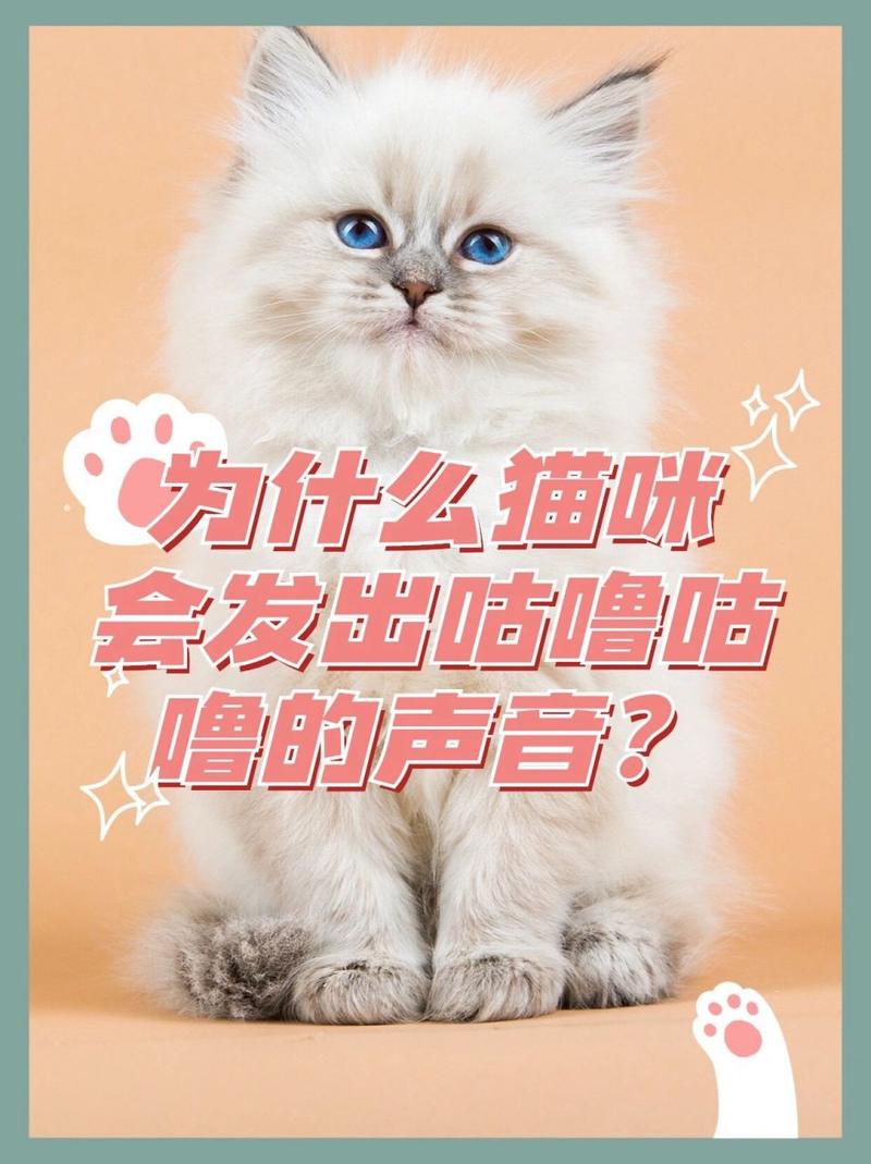 猫咪发出咕咕咕的声音,猫咪发出咕咕咕的声音是什么意思-第3张图片-后鲨宠物 猫咪发出咕咕咕的声音,猫咪发出咕咕咕的声音是什么意思-第3张图片-后鲨宠物
