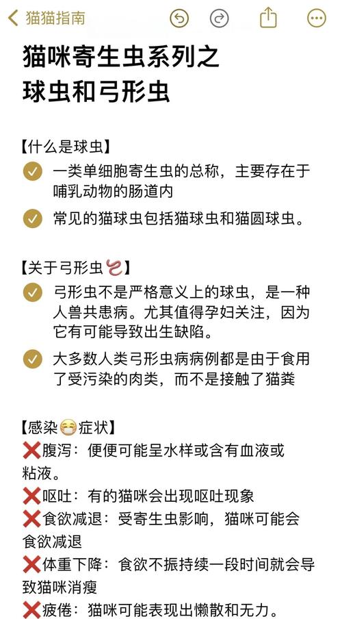 猫咪弓形虫检查多少钱,猫咪弓形虫检查会不会很难受,受折腾??-第6张图片-后鲨宠物 猫咪弓形虫检查多少钱,猫咪弓形虫检查会不会很难受,受折腾??-第6张图片-后鲨宠物