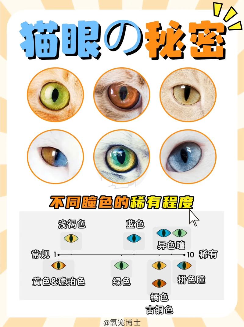 猫咪的眼睛是什么颜色_猫咪的眼睛是什么颜色的猫咪看着外面世界是什么颜色的-第5张图片-后鲨宠物