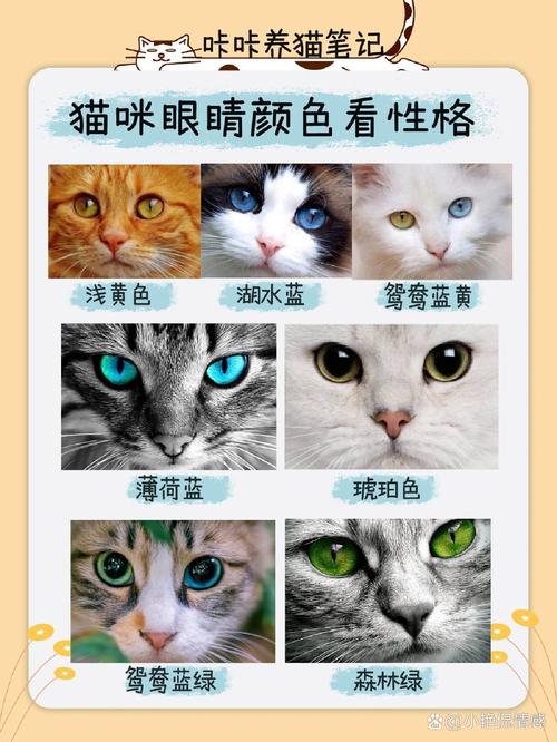 猫咪的眼睛是什么颜色_猫咪的眼睛是什么颜色的猫咪看着外面世界是什么颜色的-第6张图片-后鲨宠物