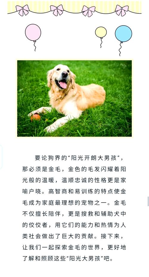 四十天的狗狗怎么喂养,40天左右的狗狗怎么喂?-第5张图片-后鲨宠物 四十天的狗狗怎么喂养,40天左右的狗狗怎么喂?-第5张图片-后鲨宠物