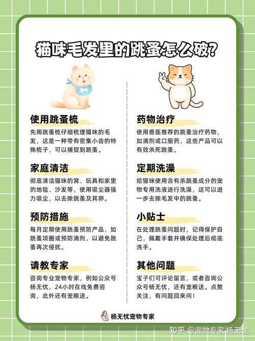 猫咪有虱子怎么去除,猫有猫虱子会怎样?-第4张图片-后鲨宠物 猫咪有虱子怎么去除,猫有猫虱子会怎样?-第4张图片-后鲨宠物