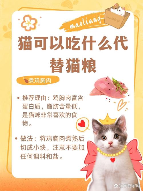 猫咪可以吃鹌鹑蛋吗_猫咪可以吃鹌鹑蛋吗会死吗-第3张图片-后鲨宠物 猫咪可以吃鹌鹑蛋吗_猫咪可以吃鹌鹑蛋吗会死吗-第3张图片-后鲨宠物