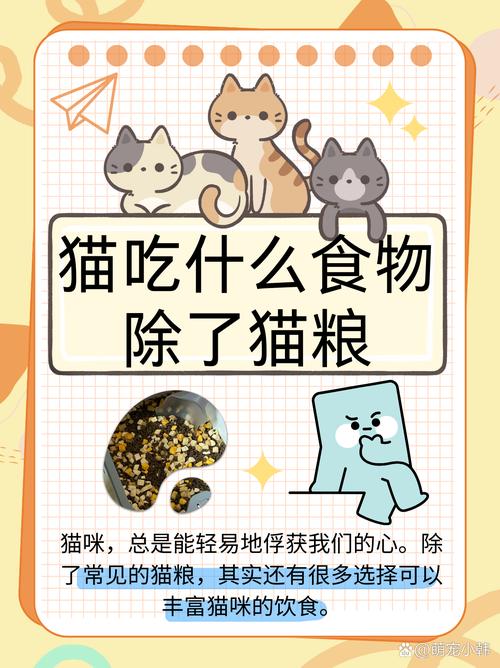 猫咪可以吃鹌鹑蛋吗_猫咪可以吃鹌鹑蛋吗会死吗-第5张图片-后鲨宠物 猫咪可以吃鹌鹑蛋吗_猫咪可以吃鹌鹑蛋吗会死吗-第5张图片-后鲨宠物